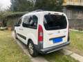 Citroen Berlingo 1.6 hdi Xtr 90cv fap Bianco - thumbnail 4