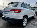 Skoda Karoq 1.0 Tsi Ambition 115 cv " TAGLIANDI SKODA " Bianco - thumbnail 5