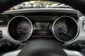 Ford Mustang GT 5,0 Gt 500 SHELBY PREMIUM Schwarz - thumbnail 31