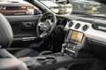 Ford Mustang GT 5,0 Gt 500 SHELBY PREMIUM Schwarz - thumbnail 29