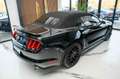 Ford Mustang GT 5,0 Gt 500 SHELBY PREMIUM Schwarz - thumbnail 10