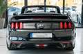 Ford Mustang GT 5,0 Gt 500 SHELBY PREMIUM Schwarz - thumbnail 7