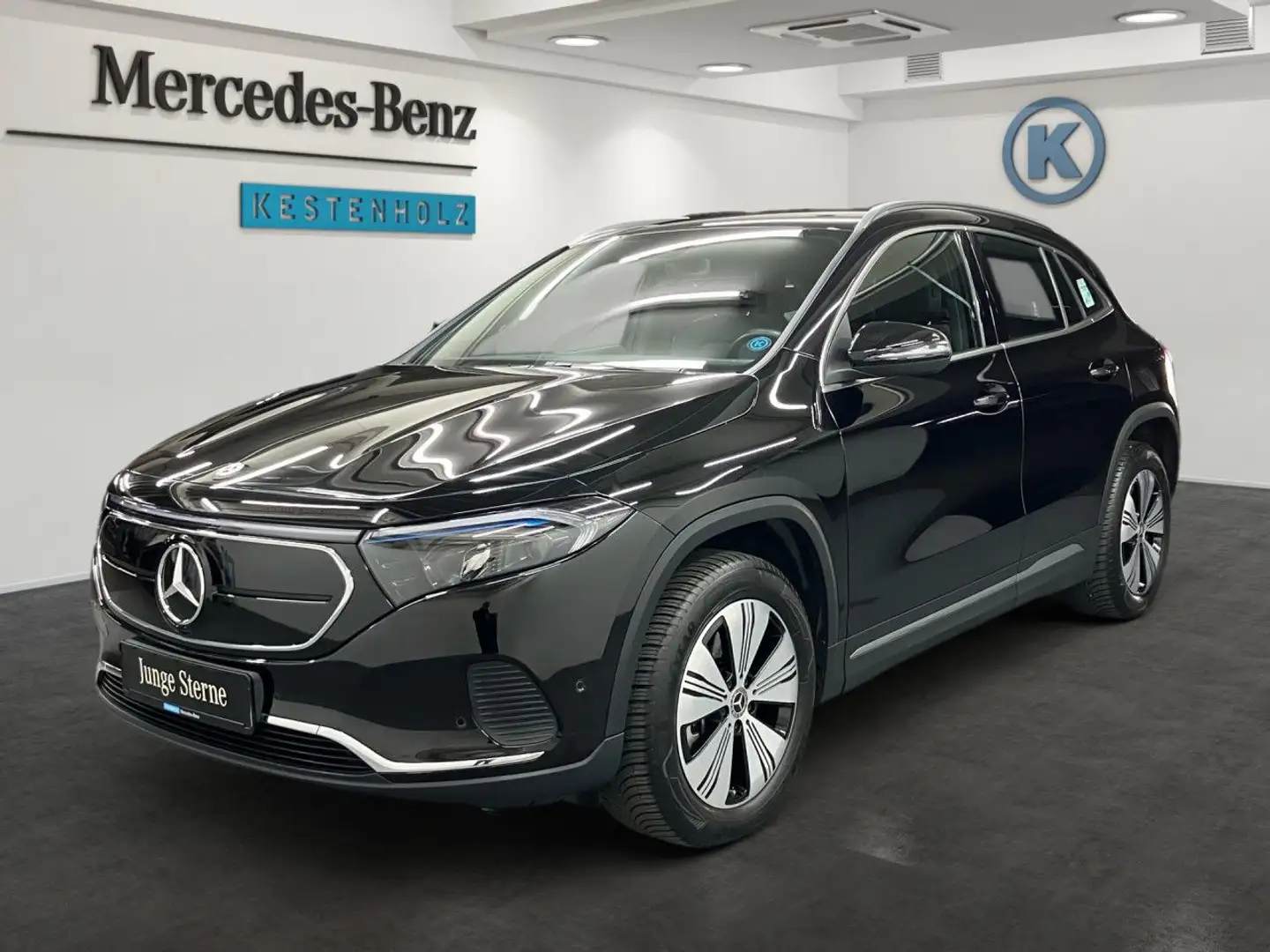 Mercedes-Benz EQA 250 LED AHK Kamera Laderaump Spurhalt-Ass PTS Noir - 2