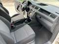 Volkswagen Caddy 1.4 TGI  Furgone  Prezzo finale non  + iva Bianco - thumbnail 13