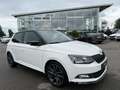 Skoda Fabia R5/DSG/KAMERA MIT PARKSENSOR/ACC/1.HAND Weiß - thumbnail 5