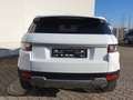 Land Rover Range Rover Evoque SD4 Aut Pure | Leder | Xenon Weiß - thumbnail 17