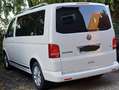 Volkswagen T5 Multivan Multivan Kurz Match Weiß - thumbnail 2