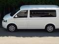 Volkswagen T5 Multivan Multivan Kurz Match Weiß - thumbnail 4