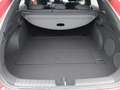 Kia ProCeed / pro_cee'd ProCeed 1.5T DCT GT-Line Einer der Letzten! Rot - thumbnail 12