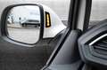 Volkswagen T6 Multivan 2.0 TDI 150CV DSG Highline Bianco - thumbnail 12