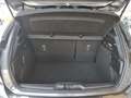 Ford Focus Focus V 2022 1.5 ecoblue ST-Line 115cv auto Gris - thumbnail 8