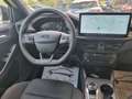 Ford Focus Focus V 2022 1.5 ecoblue ST-Line 115cv auto Gris - thumbnail 12