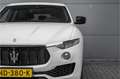 Maserati Levante 3.0 V6 D AWD Pano Leder 21" Blanco - thumbnail 16