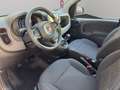 Fiat Panda 1.0 Hybrid 70cv 5 posti Nero - thumbnail 10
