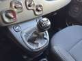 Fiat Panda 1.0 Hybrid 70cv 5 posti Nero - thumbnail 17