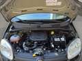 Fiat Panda 1.0 Hybrid 70cv 5 posti Nero - thumbnail 25