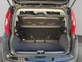 Fiat Panda 1.0 Hybrid 70cv 5 posti Nero - thumbnail 24
