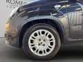 Fiat Panda 1.0 Hybrid 70cv 5 posti Nero - thumbnail 23