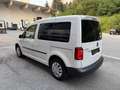 Volkswagen Caddy Kombi Trendline 1,4 TGI/*RESERVIERT*EXPORT*/ Weiß - thumbnail 5