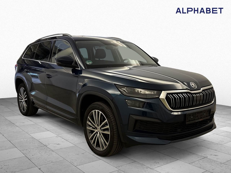 Skoda Kodiaq 2.0 TDI 4x4 L&K Matrix Virtual 360° AHK — photo 6