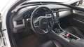 Jaguar XF 2ª SERIE (X260) SPORTBRAKE 2.0 D 180 CV AUT. PRES Bianco - thumbnail 8