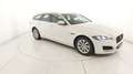 Jaguar XF 2ª SERIE (X260) SPORTBRAKE 2.0 D 180 CV AUT. PRES Bianco - thumbnail 6