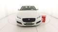 Jaguar XF 2ª SERIE (X260) SPORTBRAKE 2.0 D 180 CV AUT. PRES Bianco - thumbnail 4