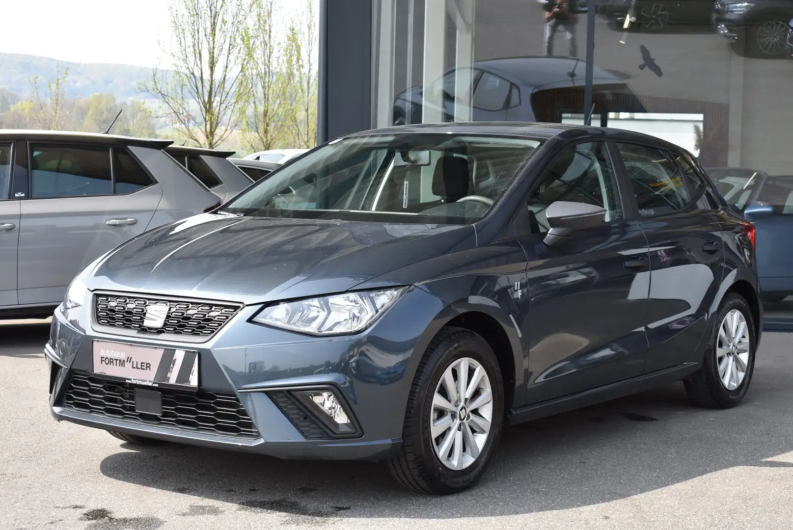 SEAT Ibiza Reference Grau - 1