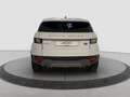 Land Rover Range Rover Evoque 5p 2.0 td4 Pure 150cv auto Bianco - thumbnail 5