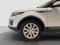 Land Rover Range Rover Evoque 5p 2.0 td4 Pure 150cv auto Bianco - thumbnail 6