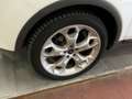 Ford Kuga Kuga 2.0 TDCi 2x4 Titanium Weiß - thumbnail 3