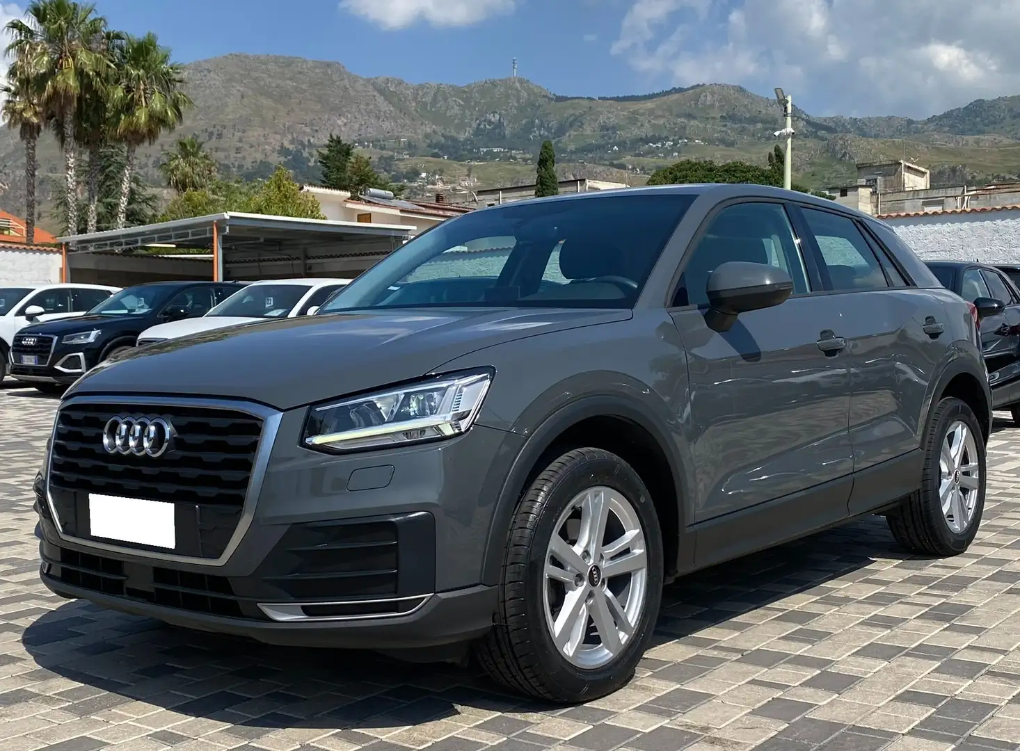 Audi Q2 Business 1.6 TDI 116CV S tronic 30 Grigio - 1