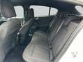 Ford Focus 1.0 EcoBoost Hybrid ST-LINE Weiß - thumbnail 11