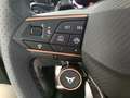 CUPRA Terramar 1.5 eTSI Beyond 110 DSG Blanco - thumbnail 11