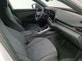 CUPRA Terramar 1.5 eTSI Beyond 110 DSG Blanco - thumbnail 5