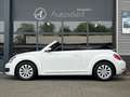 Volkswagen Beetle Cabriolet 1.2 TSI Design Clima Cruise LED Navi Wit - thumbnail 17