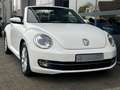 Volkswagen Beetle Cabriolet 1.2 TSI Design Clima Cruise LED Navi Wit - thumbnail 10