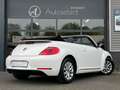 Volkswagen Beetle Cabriolet 1.2 TSI Design Clima Cruise LED Navi Wit - thumbnail 3