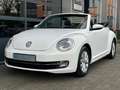 Volkswagen Beetle Cabriolet 1.2 TSI Design Clima Cruise LED Navi Wit - thumbnail 16