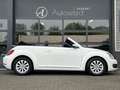 Volkswagen Beetle Cabriolet 1.2 TSI Design Clima Cruise LED Navi Wit - thumbnail 7