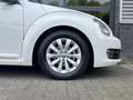 Volkswagen Beetle Cabriolet 1.2 TSI Design Clima Cruise LED Navi Wit - thumbnail 11