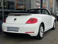 Volkswagen Beetle Cabriolet 1.2 TSI Design Clima Cruise LED Navi Wit - thumbnail 6