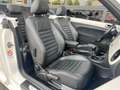 Volkswagen Beetle Cabriolet 1.2 TSI Design Clima Cruise LED Navi White - thumbnail 4