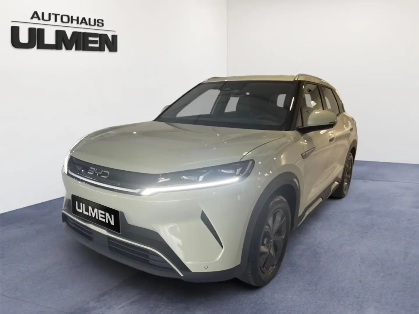 BYD Atto 2 Boost Pano veganes Leder Wärmepumpe Verde - 2