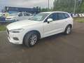Volvo XC60 XC60 II 2018 2.0 d4 Business awd geartronic my18 Bianco - thumbnail 1