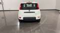 Fiat Panda 1.0 FireFly S&S Hybrid Blanc - thumbnail 3