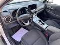 Hyundai KONA Advantage Elektro 2WD Advantage Elektro 2WD Weiß - thumbnail 14