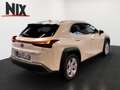 Lexus UX 250h UX 250 h Style Edition KAMERA SHZ LED Argent - thumbnail 4
