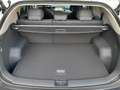 Kia EV3 FWD 81,4kWh Long Range Earth plus Silber - thumbnail 25