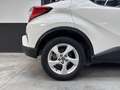 Toyota C-HR 1.2T  Dynamic Alb - thumbnail 9